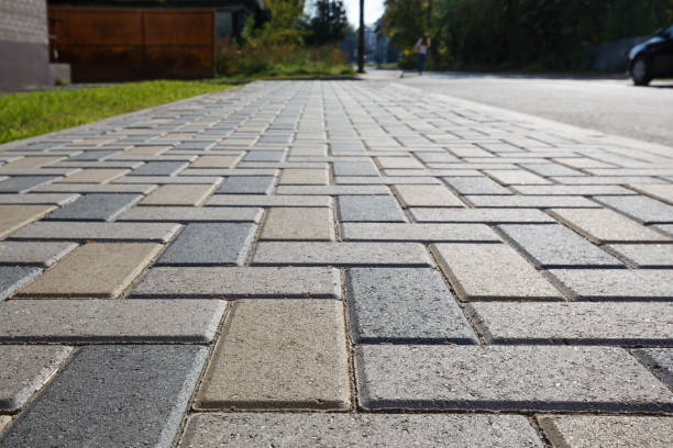 Best Residential Driveway Paver Services  in Caledonia, MN